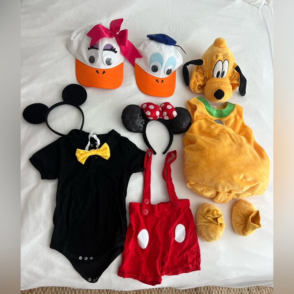 Family Mickey, Pluto, Donald, Daisy Costume